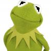 140428_Kermit 862 v2