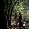 THE ORIGINALS