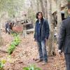 The Originals