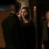 The Originals -- "Wild at Heart" -- Image Number: OG311a_0191.jpg -- Pictured (L-R): Joseph Morgan as Klaus, Phoebe Tonkin as Hayley and Leah Pipes as Cami -- Photo: Carin Baer/The CW -- ÃÂ© 2016 The CW Network, LLC. All rights reserved.