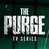 The Purge