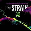 strain_ver16_xlg