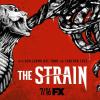 strain_ver17_xlg