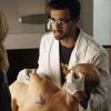 Episode 1.02 - Hawk and Dove
