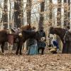 Meegan Warner as Mary Woodhull, Daniel Henshall as Caleb Brewster, Seth Numrich as Ben Tallmadge, Heather Lind as Anna Strong, Cabell Chase as Thomas Woodhull - TURN: Washington's Spies _ Season 4, Episode 5 - Photo Credit: Antony Platt/AMC