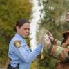 Episode 1.01 - Pilot