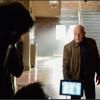 Under the Dome - Episode 2.02 - Infestation - Promotional Photos (1)