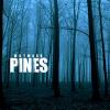 wayward_pines