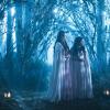 Witches of East End - Episode 2.03 - The Old Man and the Key - Promotional Photos (11)