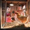 youngsheldon311_0011