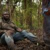 "Pack Mentality" -- Jackson, Abraham, Mitch, Jamie and Chloe are tasked by a top intelligence agent to find the cause of the strange animal behavior around the world. When the team travels to Mississippi to investigate the wolf attack on the prison, Mitch and Abraham break off to catch one of the wolves, and Chloe, Jackson and Jamie discover that death row inmate escapee Evan Lee Hartley (Marcus Hester) might somehow be involved in the attack. Also, the team meets FBI Agent Ben Shafer (Geoff Stults), who may know more about the prison fire than he\'s saying, on ZOO, Tuesday, July 21 (9:00-10:00 PM, ET/PT), on the CBS Television Network. Pictured   Nonso Anozie as Abraham Kenyatta Photo:    Hilary Bronwyn Gayle/CBS  ÃÂ© 2015 CBS Broadcasting Inc. All Rights Reserved.