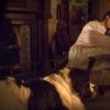 PETER_AND_WENDY_49