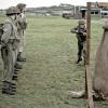 Privates
