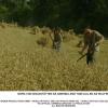 Nora%20von%20Waldstaetten%20as%20Gwenda,%20Tom%20Cullen%20as%20Wulfric_CAPTIONED[1]
