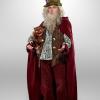 Laurence Rickard as Wizard Bradley