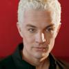 07902_00spike010_122_962lo