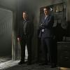 CSI: NY