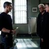 CSI: NY