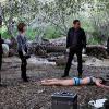 CSI: NY