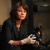 CSI: NY