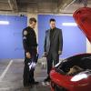 csi_ny_season_8_episode_3_cavallino_rampante_8-4876-800-600-80