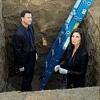 CSI: NY
