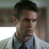 JOHN FROM CINCINNATI - SAISON 1