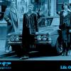 03_800x600-1-