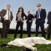 LIFE -- Pictured: (l-r) Donal Logue as Captain Kevin Tidwell, Sarah Shahi as Dani Reese, Brent Sexton as Bobby Stark, Damian Lewis as Charlie Crews, Adam Arkin as Ted Earley -- NBC Photo: Mitchell Haaseth