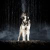 riese-015