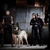 riese-036