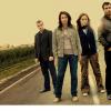 survivors_footer