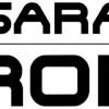 THE SARAH CONNOR CHRONICLES: Logo.