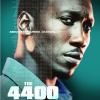 forty_four_hundred_ver4_xlg