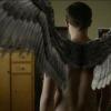fades-paul-wings[1]