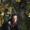 Todd Stashwick Gallery