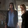 THE SECRET CIRCLE