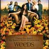 weeds-weeds-279416_555_773-1-