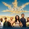 weeds3