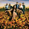 WEEDS (season 2) - EMMY