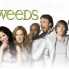 1225196500046weeds3