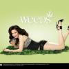 weeds-season-4-promo-weeds-1543024-1280-1024-1-