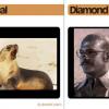 Seal-and-Diamond-Cream-Clue-Cards.png