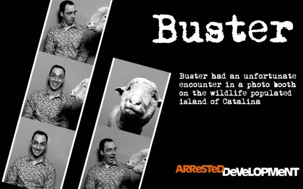 arrested-development-wallpaper-buster-sheep