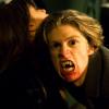 Blood Ties Season 1