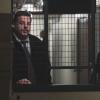 "Love Lost" -- Erin faces off in court against her ex-husband, Jack (Peter Hermann), who is representing the person she is attempting to convict of murder. Also, Danny and Baez investigate to see if the husband is behind the murder of his own wife; Frank is confronted by a mother who accuses the NYPD of being negligent in solving her son\'s murder; and Jamie rides with a new partner, Officer Brenda Patimkin (Sarah Mezzanotte), on BLUE BLOODS, Friday, April 7 (10:00-11:00 PM, ET/PT) on the CBS Television Network. Pictured: Steve Schirripa, Bridget Moynahan. PHOTO CREDIT:  GIOVANNI RUFINO/CBS ÃÂ© 2017 CBS.  All Rights Reserved.