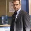 BLUE BLOODS
