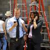 BLUE BLOODS