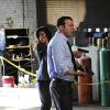 BLUE BLOODS