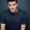 BONES:  David Boreanaz returns as FBI Special Agent Seeley Booth.  The tenth season of BONES premieres Thursday, Sept. 25 (8:00-9:00 PM ET/PT) on FOX. &#xa9;2014 Fox Broadcasting Co. Cr: Jeff Lipsky/FOX